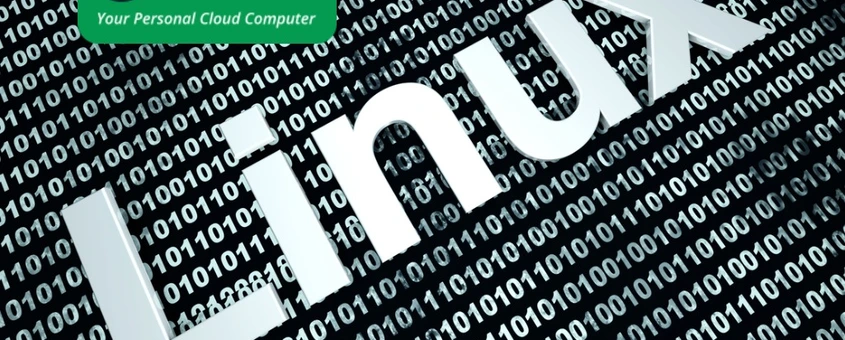 Why Choose Linux as a Development Platform? 