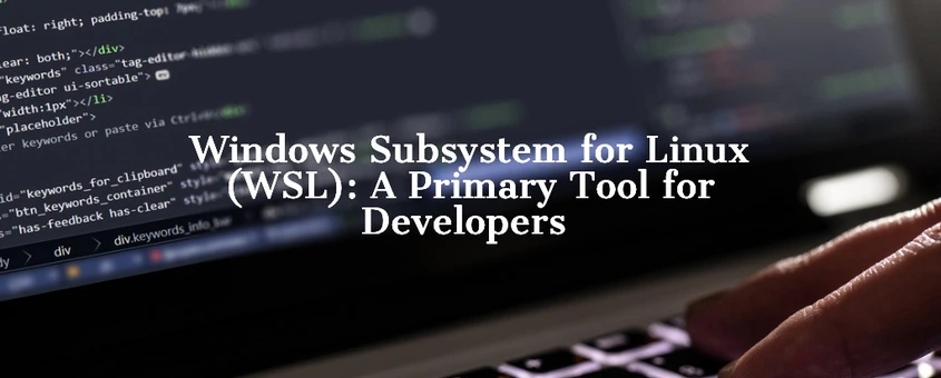 Windows Subsystem for Linux (WSL): A Primary Tool for Developers
