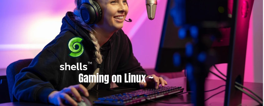 Options You can Use to Game on Linux