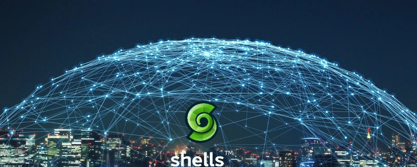 The Client-Server vs. the Peer-to-Peer (P2P) Networking Architecture