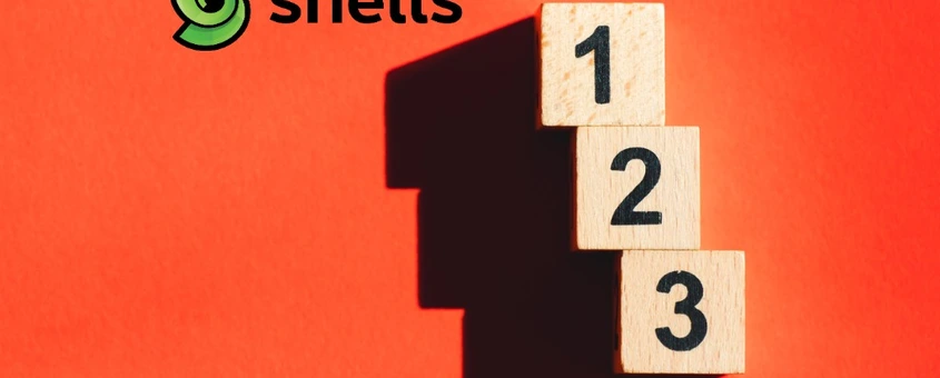 3 Different Types of Servers you can Host on your Shell